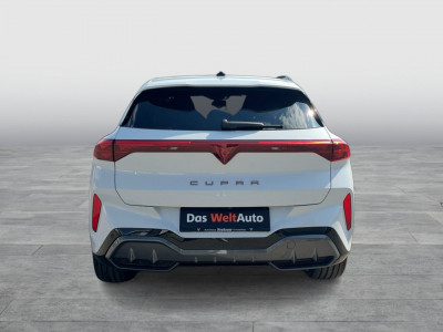 Cupra Terramar Gebrauchtwagen Cupra Terramar Gebrauchtwagen