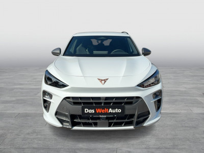 Cupra Terramar Gebrauchtwagen Cupra Terramar Gebrauchtwagen