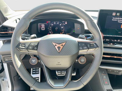 Cupra Terramar Gebrauchtwagen Cupra Terramar Gebrauchtwagen