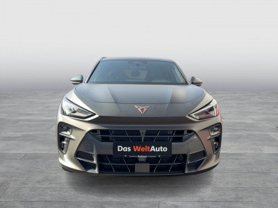 Cupra Terramar Gebrauchtwagen Cupra Terramar Gebrauchtwagen