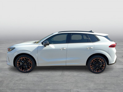 Cupra Terramar Gebrauchtwagen Cupra Terramar Gebrauchtwagen