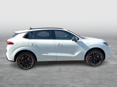 Cupra Terramar Gebrauchtwagen Cupra Terramar Gebrauchtwagen