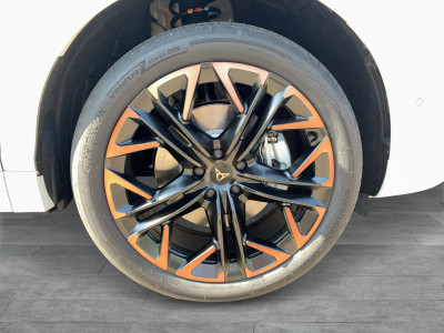 Cupra Terramar Gebrauchtwagen Cupra Terramar Gebrauchtwagen