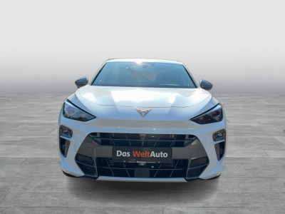 Cupra Terramar Gebrauchtwagen Cupra Terramar Gebrauchtwagen