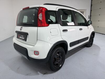Fiat Panda Gebrauchtwagen
