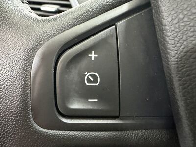 Renault Scénic Gebrauchtwagen