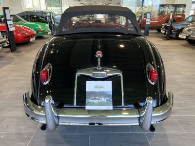 Jaguar XK Gebrauchtwagen Jaguar XK Gebrauchtwagen