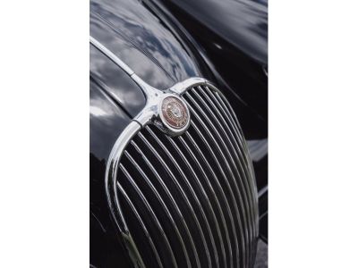 Jaguar XK Gebrauchtwagen Jaguar XK Gebrauchtwagen