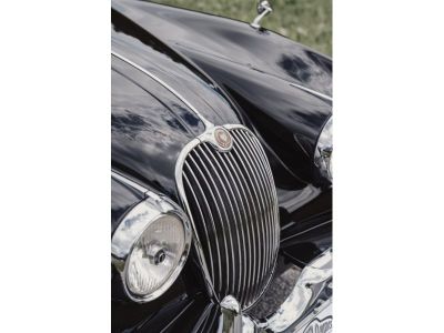 Jaguar XK Gebrauchtwagen Jaguar XK Gebrauchtwagen