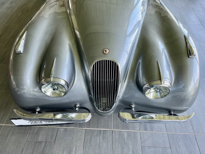 Jaguar XK Gebrauchtwagen Jaguar XK Gebrauchtwagen