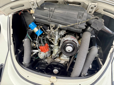 VW Käfer Gebrauchtwagen VW Käfer Gebrauchtwagen