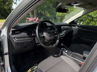 Skoda Octavia Gebrauchtwagen Skoda Octavia Gebrauchtwagen