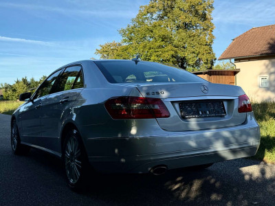 Mercedes-Benz E-Klasse Gebrauchtwagen