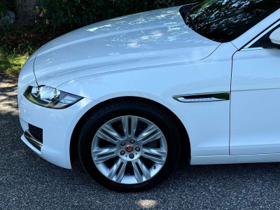 Jaguar XF Gebrauchtwagen