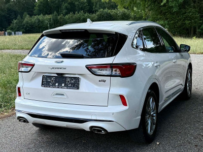 Ford Kuga Gebrauchtwagen Ford Kuga Gebrauchtwagen