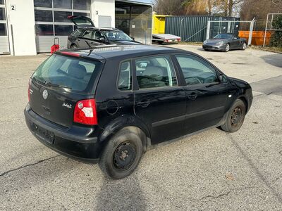 VW Polo Gebrauchtwagen