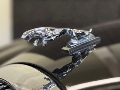 Jaguar S-Type Gebrauchtwagen