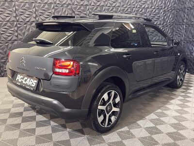 Citroën C4 Cactus Gebrauchtwagen