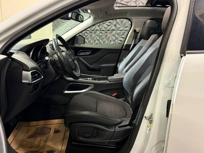 Jaguar F-Pace Gebrauchtwagen