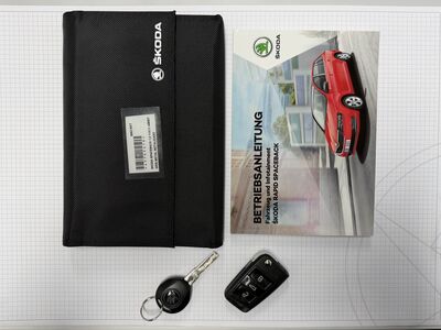 Skoda Rapid Gebrauchtwagen