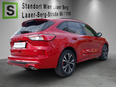 Ford Kuga Gebrauchtwagen