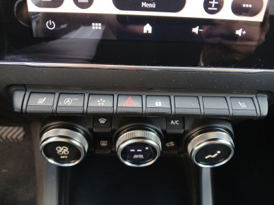 Renault Arkana Gebrauchtwagen