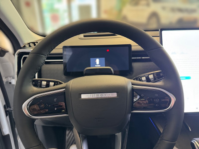 Jaecoo Jaecoo 7 Vorführwagen