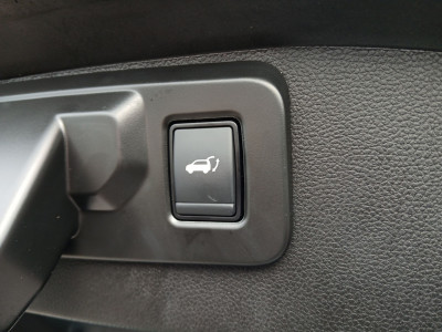 Renault Austral Gebrauchtwagen