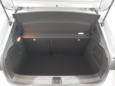 Renault Clio Vorführwagen