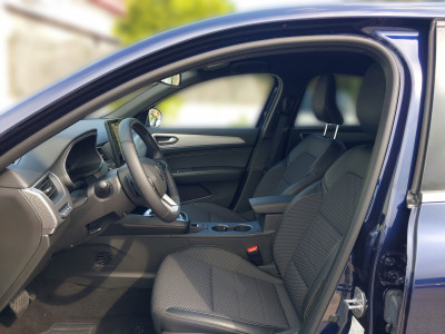 Renault Arkana Gebrauchtwagen