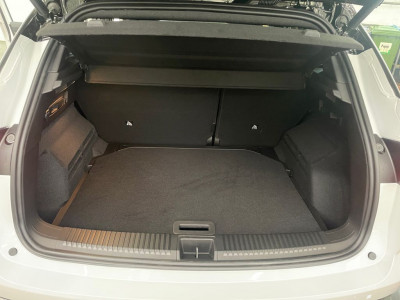 Renault Austral Vorführwagen