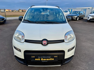 Fiat Panda Gebrauchtwagen