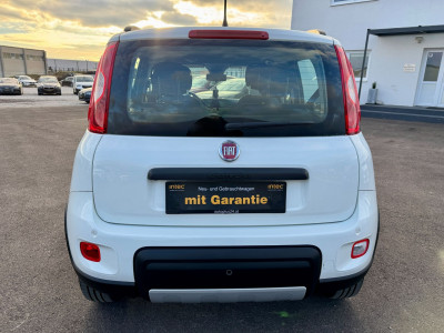 Fiat Panda Gebrauchtwagen