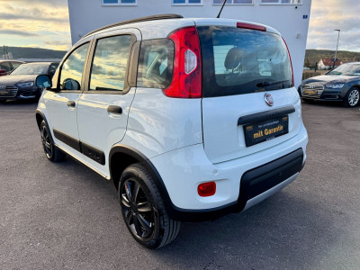 Fiat Panda Gebrauchtwagen