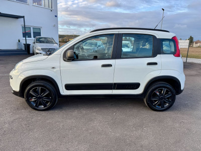 Fiat Panda Gebrauchtwagen