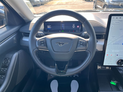 Ford Mustang Mach-E Gebrauchtwagen