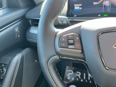 Ford Mustang Mach-E Gebrauchtwagen