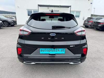 Ford Puma Gebrauchtwagen Ford Puma Gebrauchtwagen