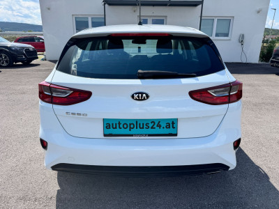 KIA Ceed Gebrauchtwagen KIA Ceed Gebrauchtwagen