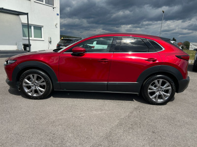 Mazda CX-30 Gebrauchtwagen