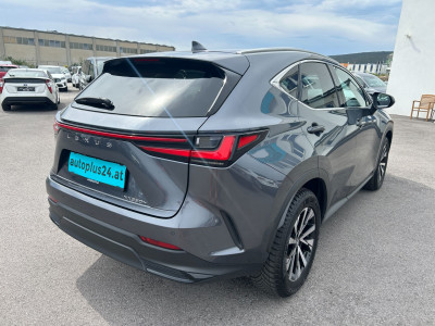 Lexus NX Gebrauchtwagen