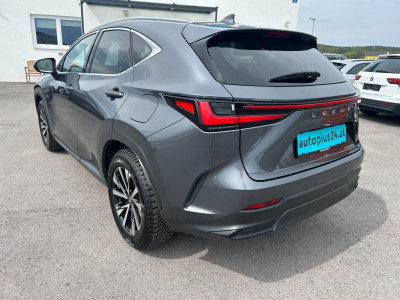 Lexus NX Gebrauchtwagen