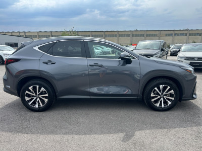 Lexus NX Gebrauchtwagen