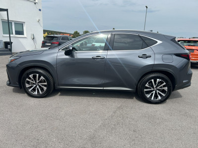 Lexus NX Gebrauchtwagen