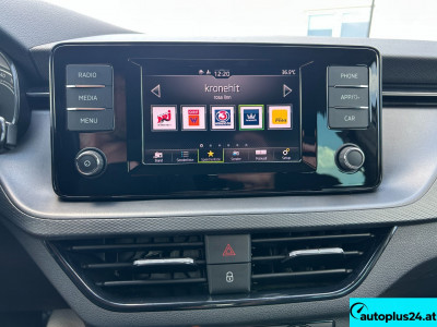 Skoda Kamiq Gebrauchtwagen