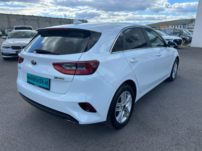 KIA Ceed Gebrauchtwagen