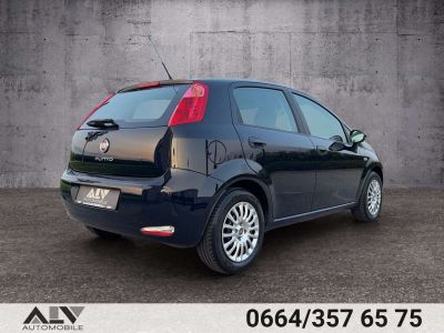 Fiat Punto Gebrauchtwagen