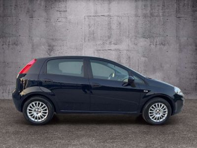 Fiat Punto Gebrauchtwagen