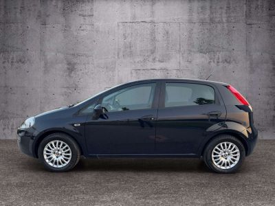 Fiat Punto Gebrauchtwagen