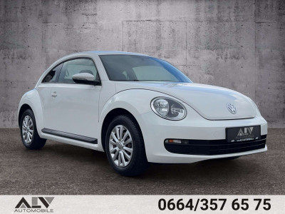 VW Beetle Gebrauchtwagen